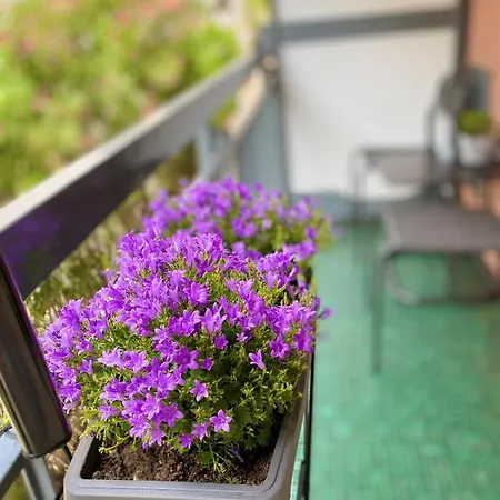 Appartement Bella - Center -air Conditioning -wi-fi Rapallo